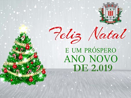 Um feliz Natal e um Ano Novo pleno de realizações!